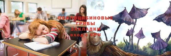 индика Аркадак