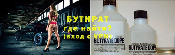 индика Аркадак
