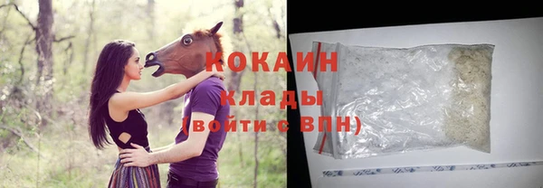 индика Аркадак