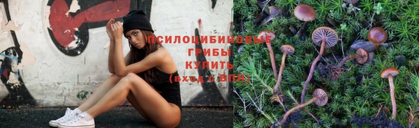индика Аркадак