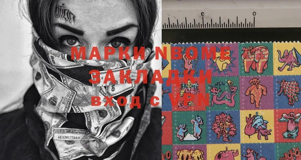 индика Аркадак